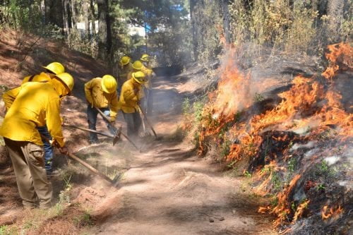 Van más de 600 incendios forestales en Edomex y más de 15 mil hectáreas afectadas durante 2024